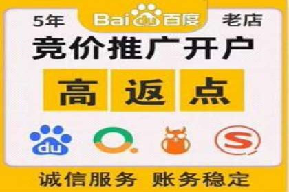 百度SEM推广的创意策略与效果评估